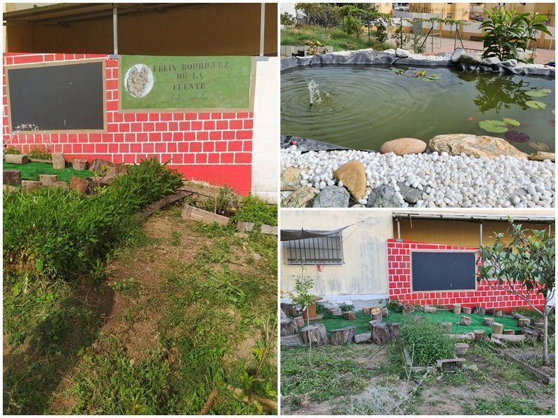 El Colegio Ortega y Gasset continúa adelante con su proyecto ecológico "El Jardín de las Hespérides"