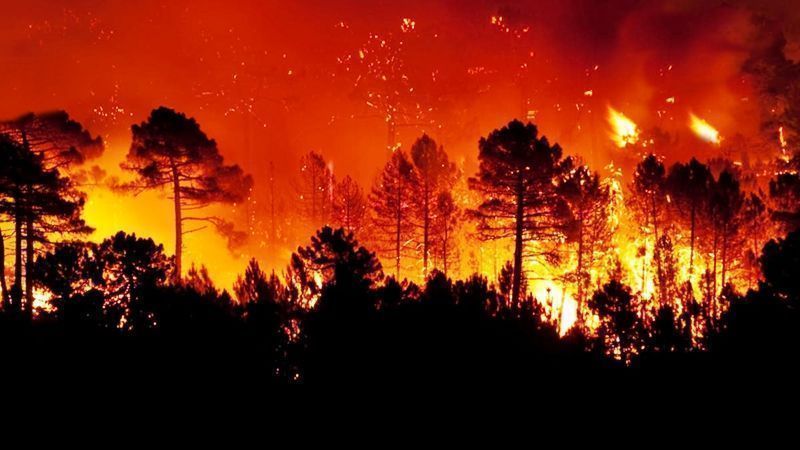 El incendio de Estepona y sus alrededores continúa sin control