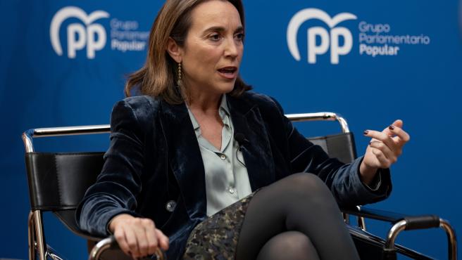 El PP estudia un plan de acción contra el crimen organizado con asociaciones profesionales