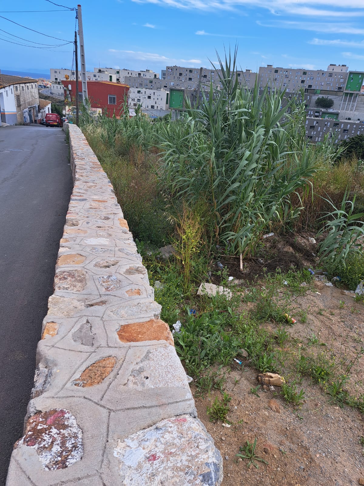 El MDyC denuncia el estado de abandono y dejadez que sufren distintas zonas de la Ciudad 