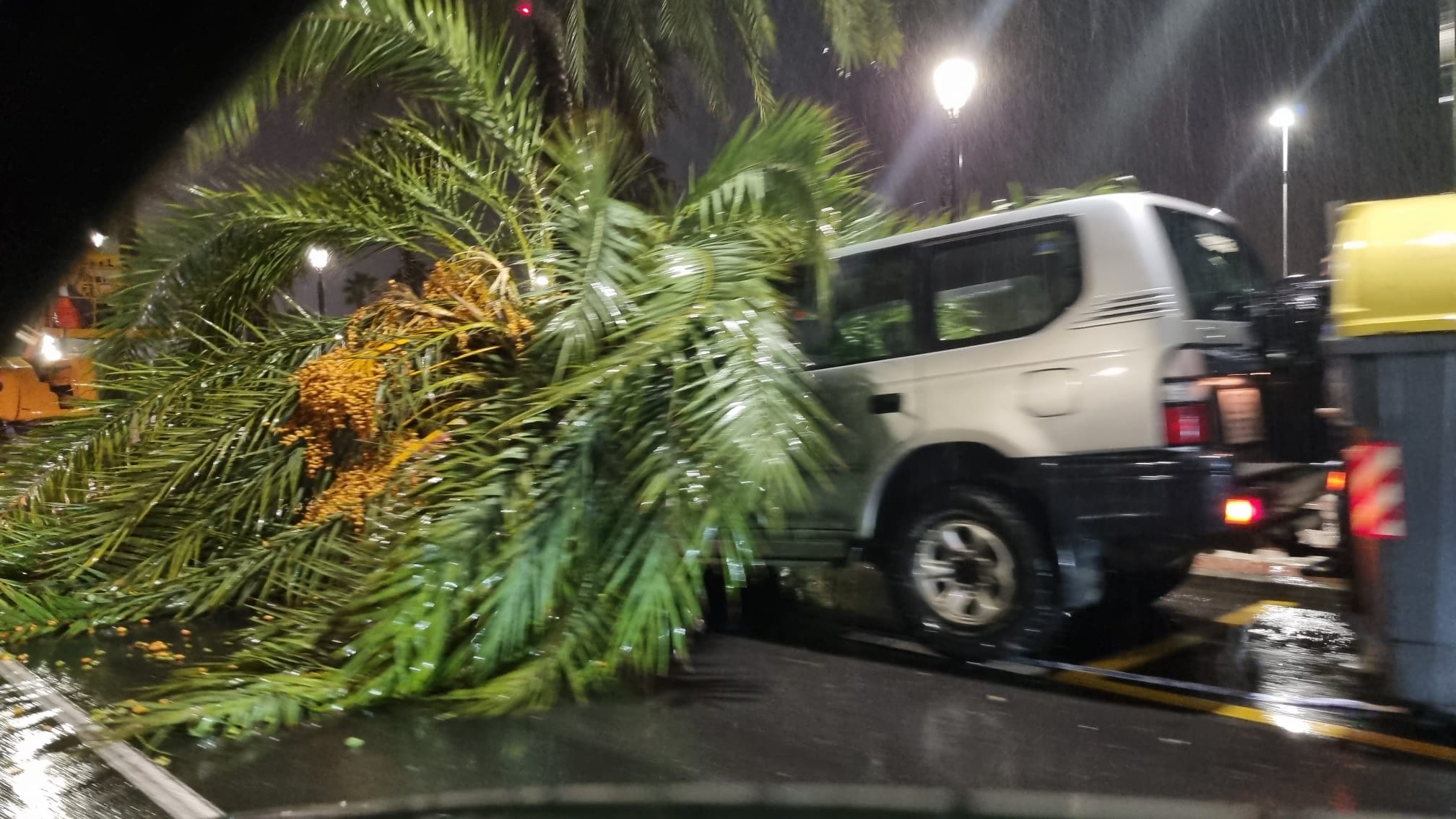 La Ciudad muestra su "agradecimiento" a todos los servicios públicos y Emergencias que intervino en el temporal de este jueves