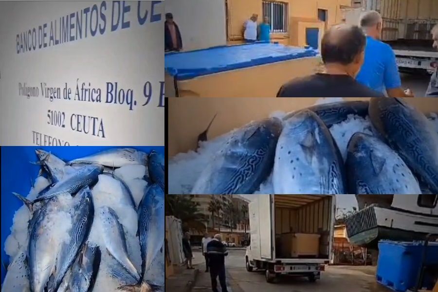 El Banco de Alimentos recibe una donación de la Almadraba de Ceuta 