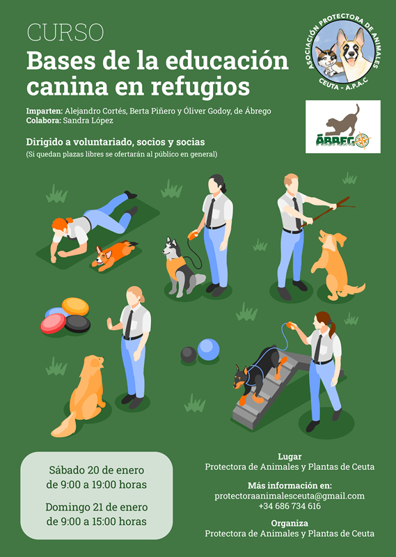 La Protectora de Animales imparte este fin de semana un curso de educación canina
